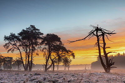 BUITEN BEELD Foto: 324852