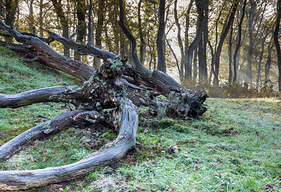 BUITEN BEELD Foto: 324862