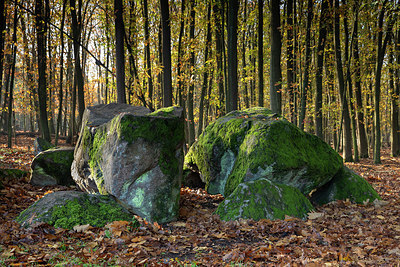 BUITEN BEELD Foto: 324865