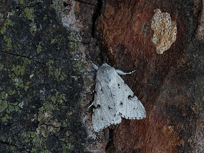 BUITEN BEELD Foto: 324872
