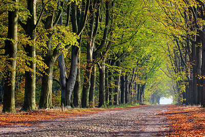 BUITEN BEELD Foto: 324898