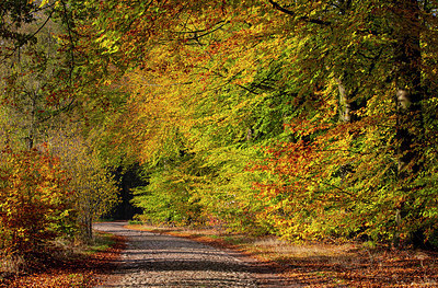 BUITEN BEELD Foto: 324899
