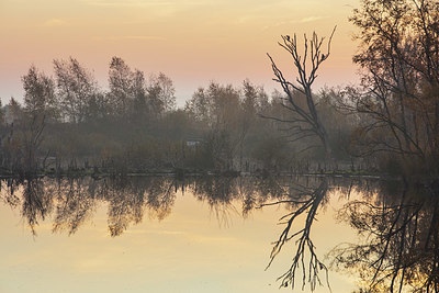 BUITEN BEELD Foto: 324903