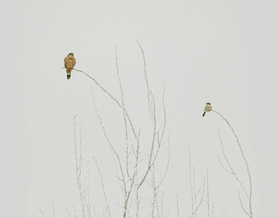 BUITEN BEELD Foto: 324927