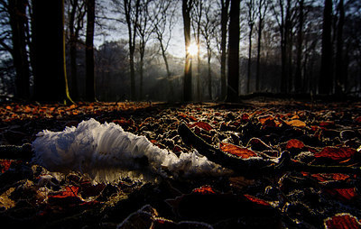 BUITEN BEELD Foto: 324939