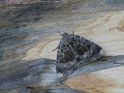 BUITEN BEELD Foto: 324984