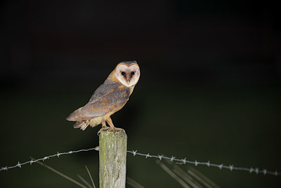 BUITEN BEELD Foto: 325003