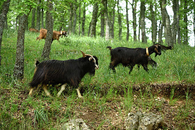 BUITEN BEELD Foto: 325130