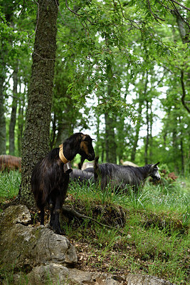 BUITEN BEELD Foto: 325132