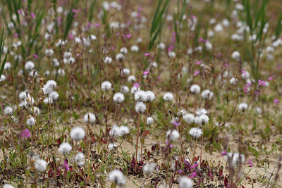 BUITEN BEELD Foto: 325184