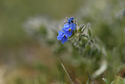 BUITEN BEELD Foto: 325208