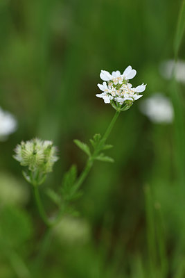 BUITEN BEELD Foto: 325220