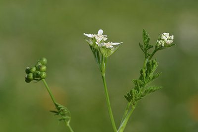 BUITEN BEELD Foto: 325230