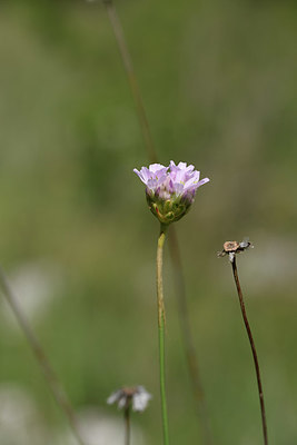 BUITEN BEELD Foto: 325247