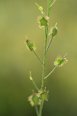 BUITEN BEELD Foto: 325294