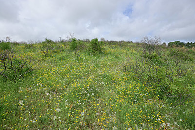 BUITEN BEELD Foto: 325304