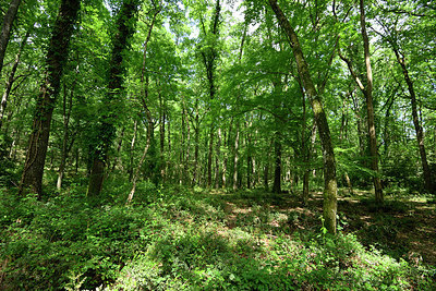 BUITEN BEELD Foto: 325329