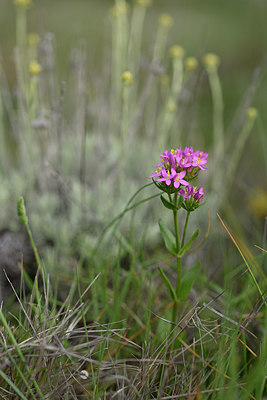 BUITEN BEELD Foto: 325382