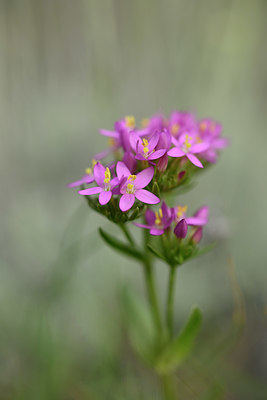 BUITEN BEELD Foto: 325383