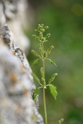 BUITEN BEELD Foto: 325406