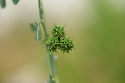 BUITEN BEELD Foto: 325413