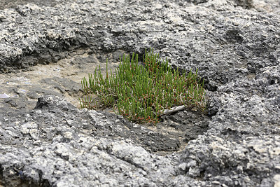 BUITEN BEELD Foto: 325418
