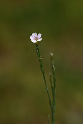 BUITEN BEELD Foto: 325422