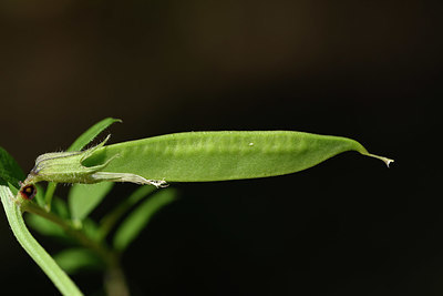 BUITEN BEELD Foto: 325454