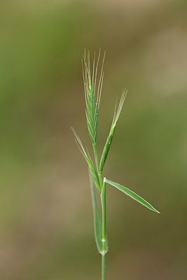 BUITEN BEELD Foto: 325501