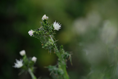 BUITEN BEELD Foto: 325505