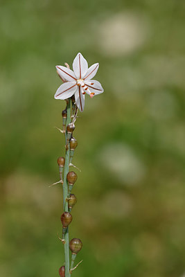 BUITEN BEELD Foto: 325559