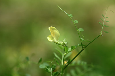 BUITEN BEELD Foto: 325565