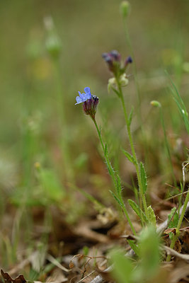 BUITEN BEELD Foto: 325572