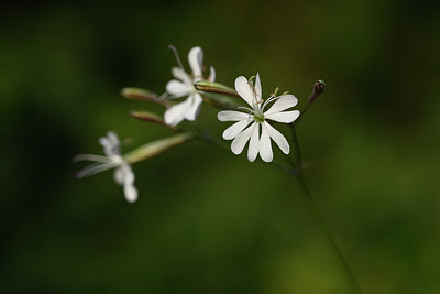 BUITEN BEELD Foto: 325596