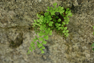 BUITEN BEELD Foto: 325597
