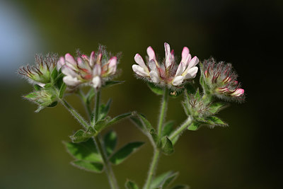 BUITEN BEELD Foto: 325605