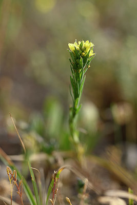 BUITEN BEELD Foto: 325616