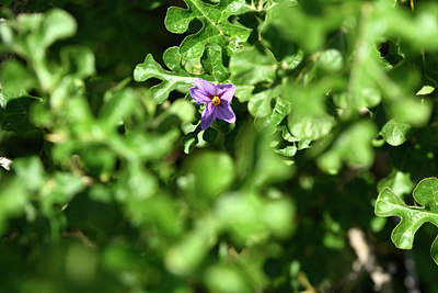 BUITEN BEELD Foto: 325672
