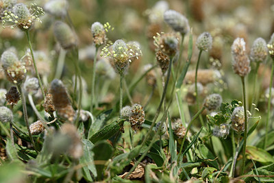 BUITEN BEELD Foto: 325675