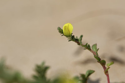 BUITEN BEELD Foto: 325717