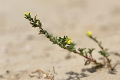 BUITEN BEELD Foto: 325718