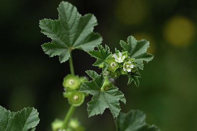 BUITEN BEELD Foto: 325739