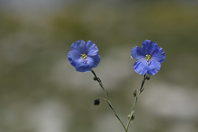 BUITEN BEELD Foto: 325742