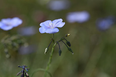 BUITEN BEELD Foto: 325750