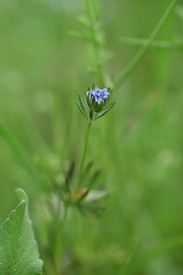 BUITEN BEELD Foto: 325820