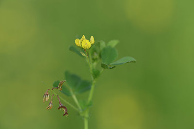 BUITEN BEELD Foto: 325840