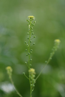 BUITEN BEELD Foto: 325853