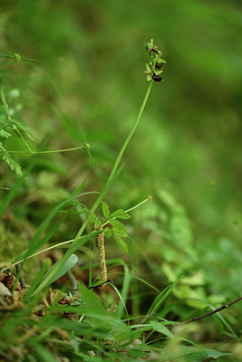 BUITEN BEELD Foto: 325871
