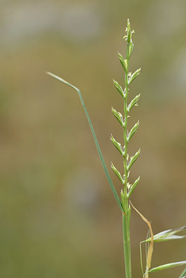 BUITEN BEELD Foto: 325946