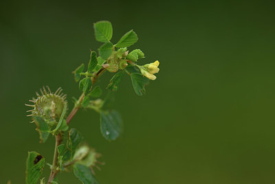 BUITEN BEELD Foto: 325956